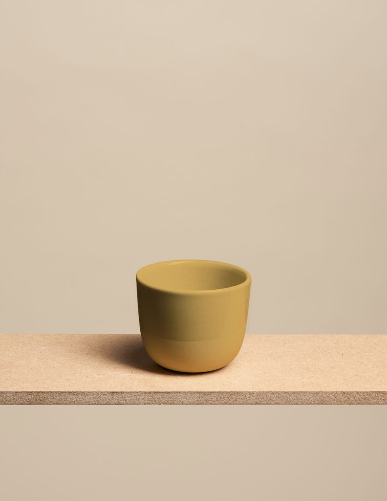 Cosmo Cup Klein