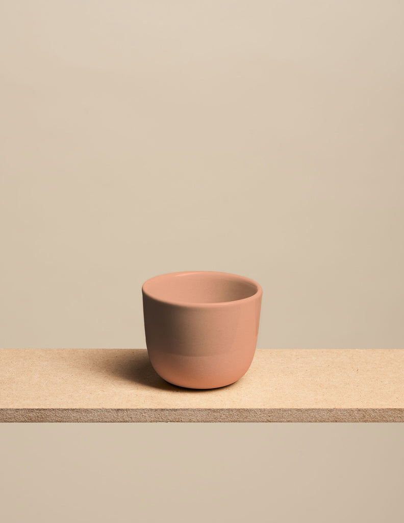 Cosmo Cup Klein