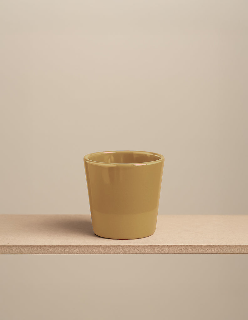 Cosmo Cup Mittelgross