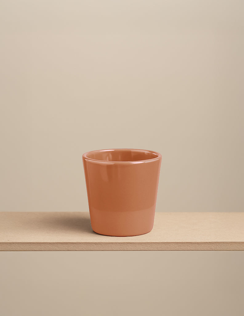 Cosmo Cup Mittelgross